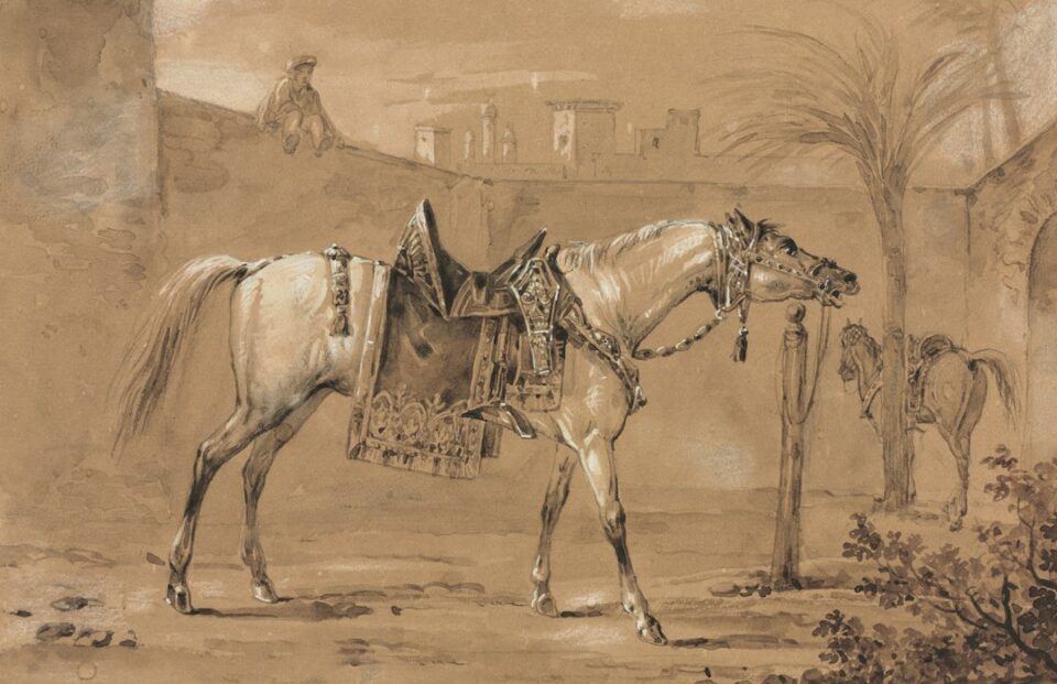 horse riding for beginners cover illustration of a new rider mounting a calm horse at a riding arena